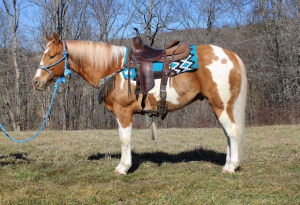 Bandito - Image 2