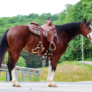 Django