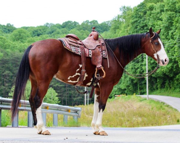 Django