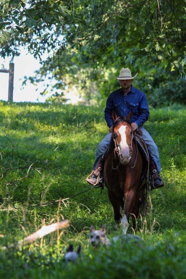 Django - Image 6