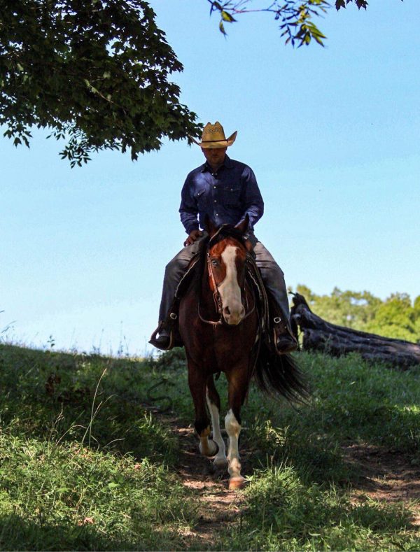 Django - Image 7