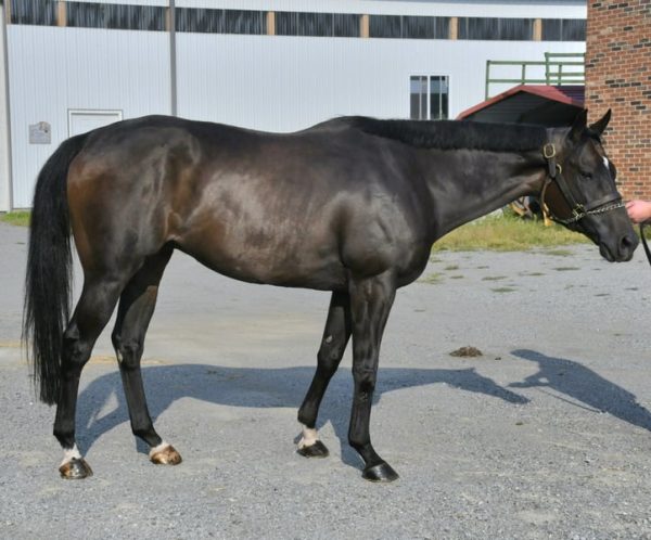 Zaman - Image 2